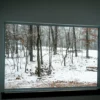 Luxury Shipping Container Homes (40’ x8'x 9’6” Tall) Two Blue, Two Grey - Image 11