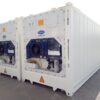 Buy 40ft Refrigerated Shipping Containers Online
